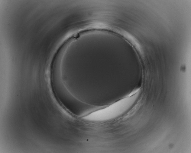 X0000102531334200808221856