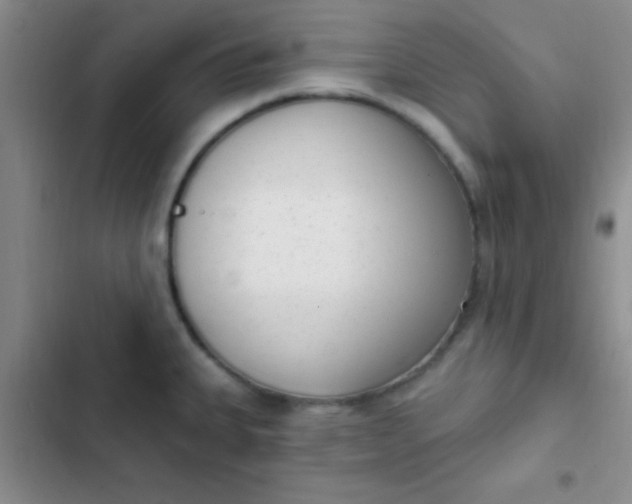 X0000102531335200808221856