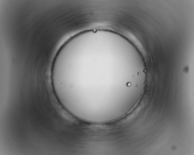 X0000102531336200808221856