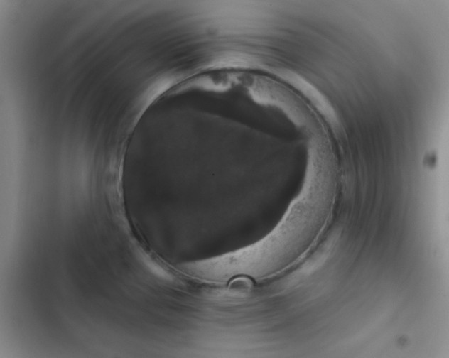 X0000102531337200808221856