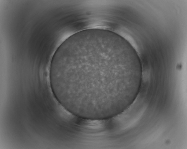 X0000102531338200808221856