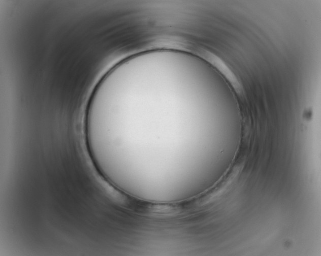 X0000102531339200808221856