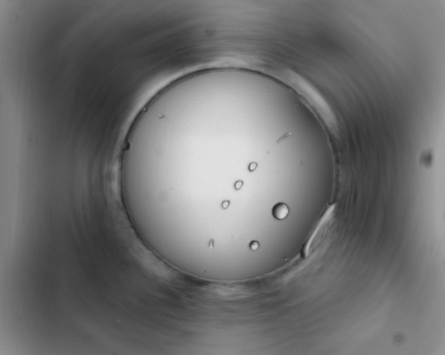 X0000102531340200808221856