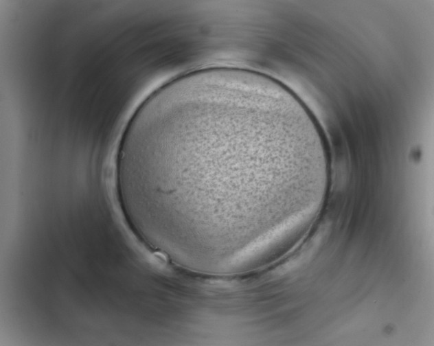 X0000102531341200808221856