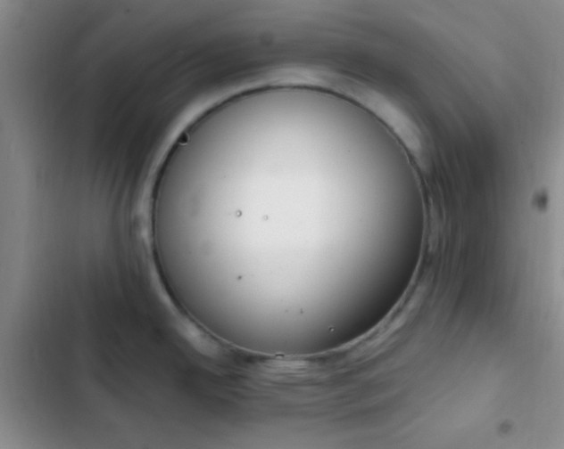 X0000102531342200808221856