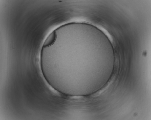 X0000102531343200808221856