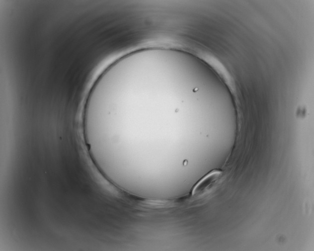 X0000102531344200808221856