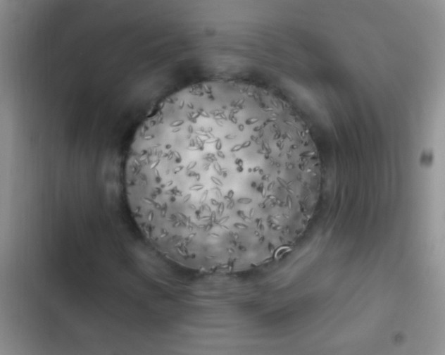 X0000102531346200808221856