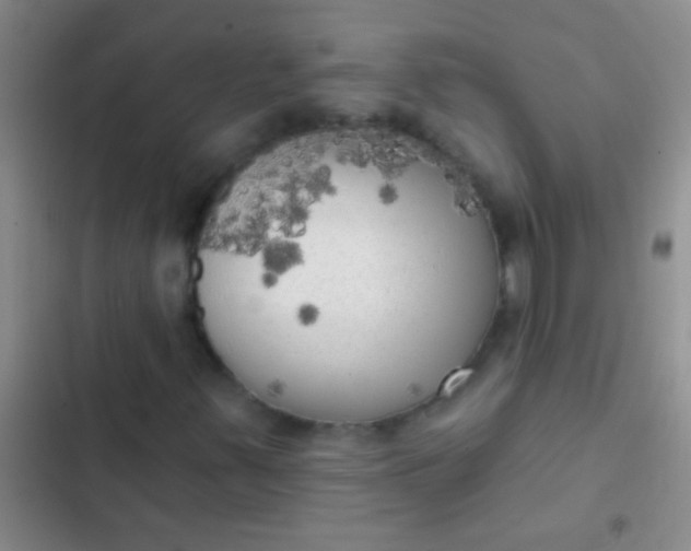 X0000102531347200808221856