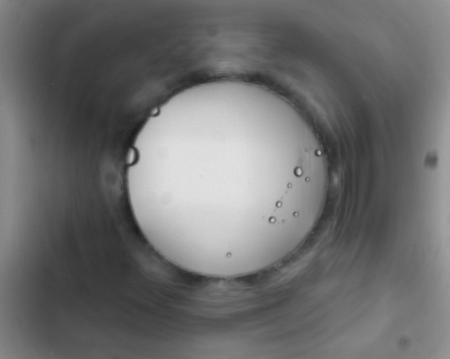 X0000102531348200808221856