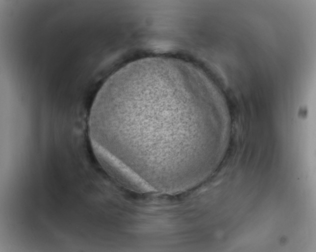 X0000102531349200808221856