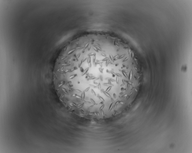 X0000102531350200808221856