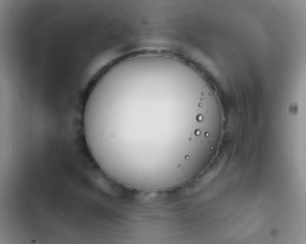 X0000102531352200808221855