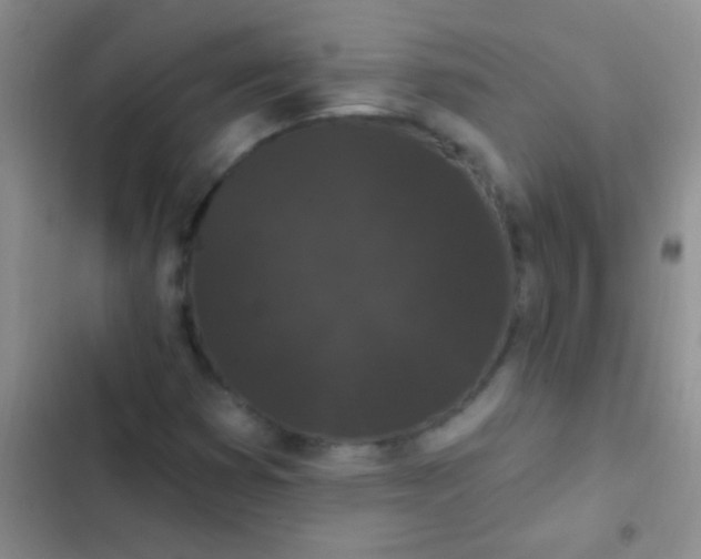 X0000102531353200808221855