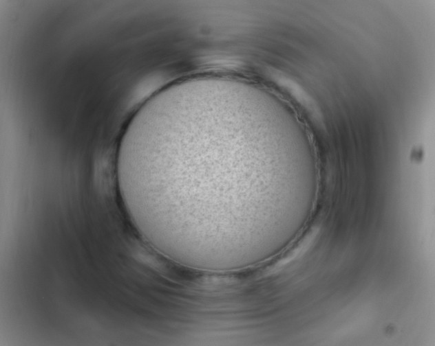 X0000102531354200808221855