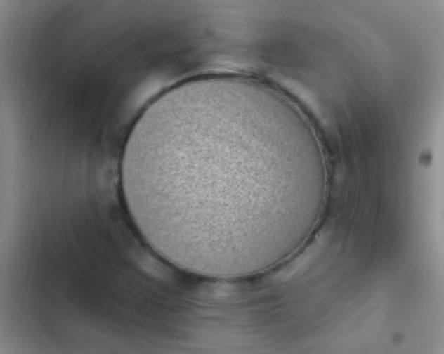 X0000102531355200808221855