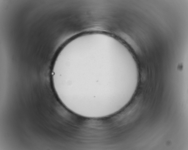 X0000102531356200808221855