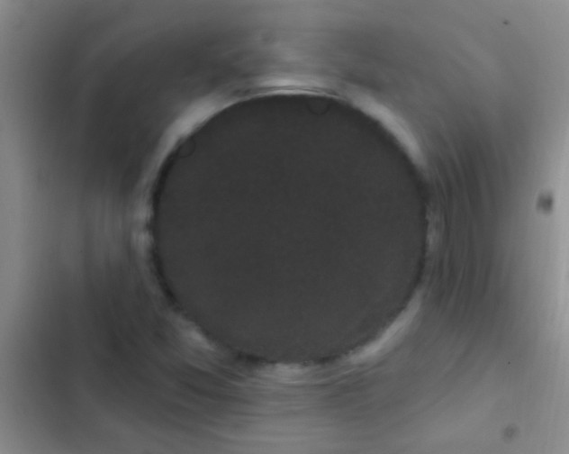 X0000102531357200808221855