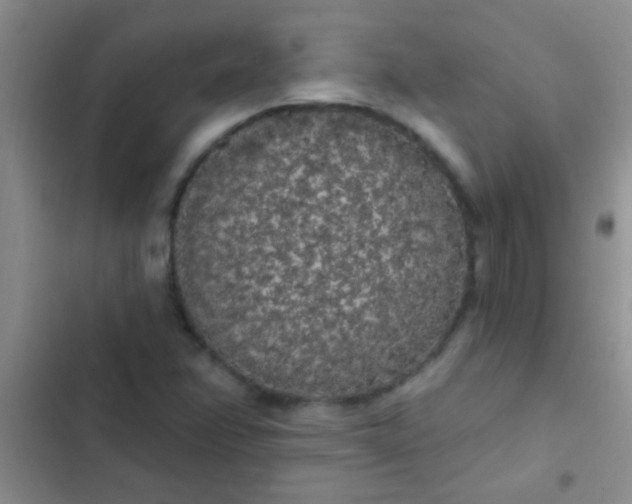 X0000102531358200808221855