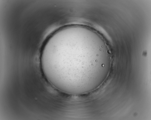 X0000102531360200808221855