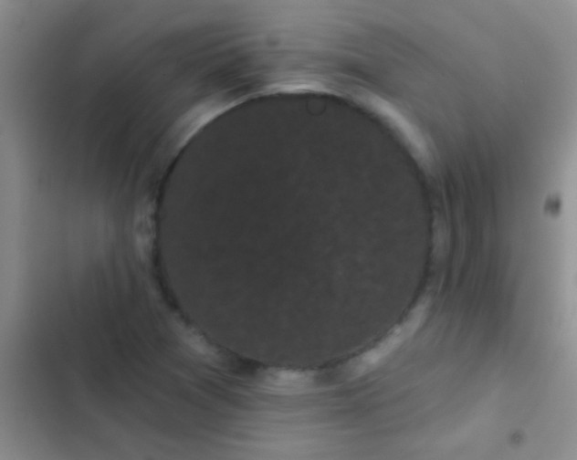 X0000102531361200808221855