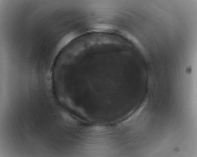 X0000102531362200808221855