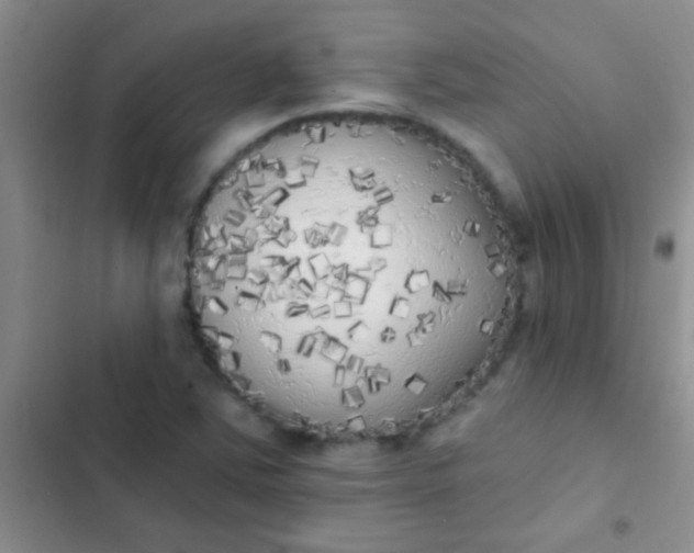 X0000102531363200808221855