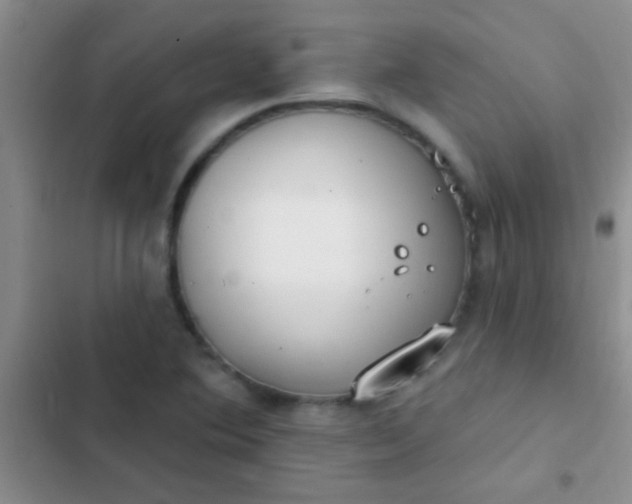 X0000102531364200808221855