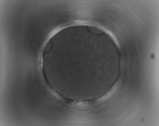 X0000102531365200808221855