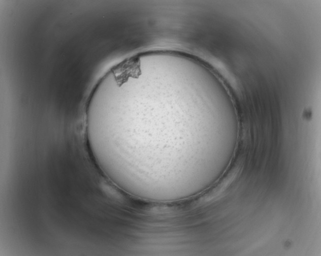 X0000102531366200808221855