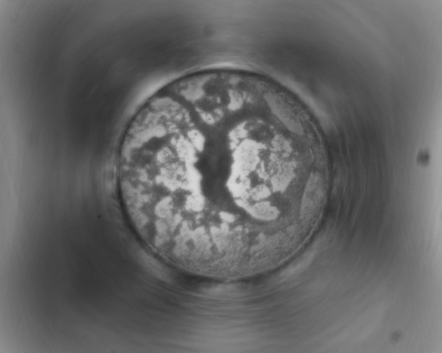 X0000102531367200808221855