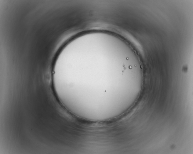 X0000102531368200808221855