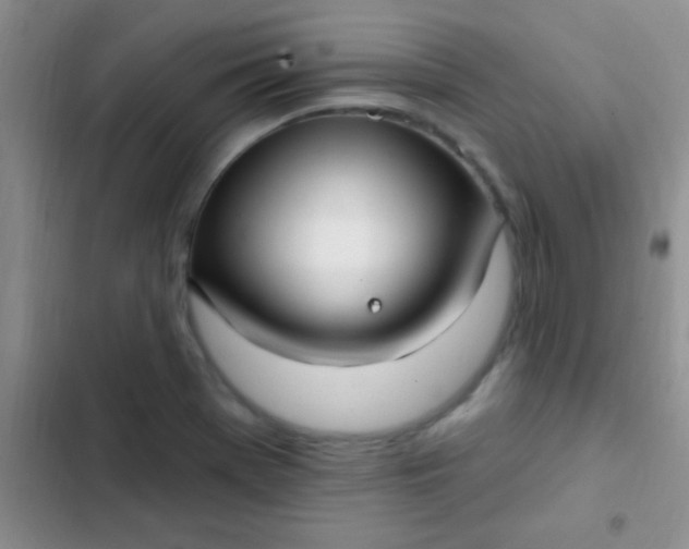 X0000102531369200808221855