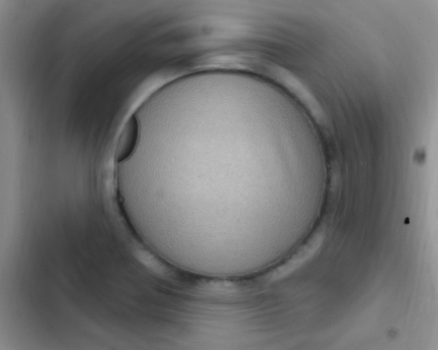 X0000102531370200808221855