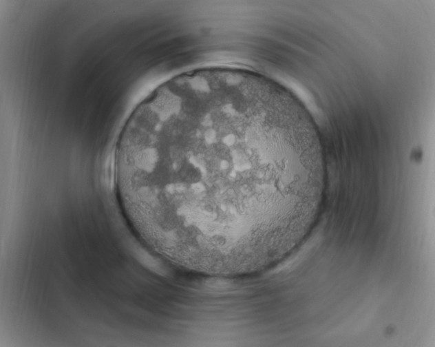 X0000102531371200808221855