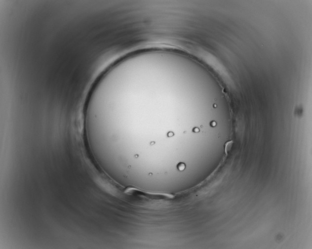 X0000102531372200808221855