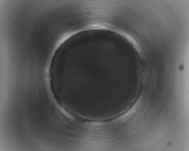 X0000102531373200808221855