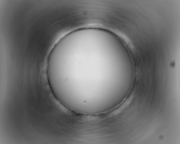 X0000102531374200808221855