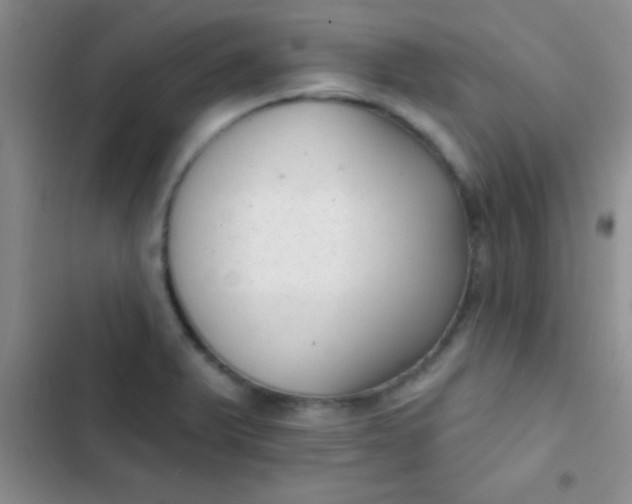 X0000102531375200808221855