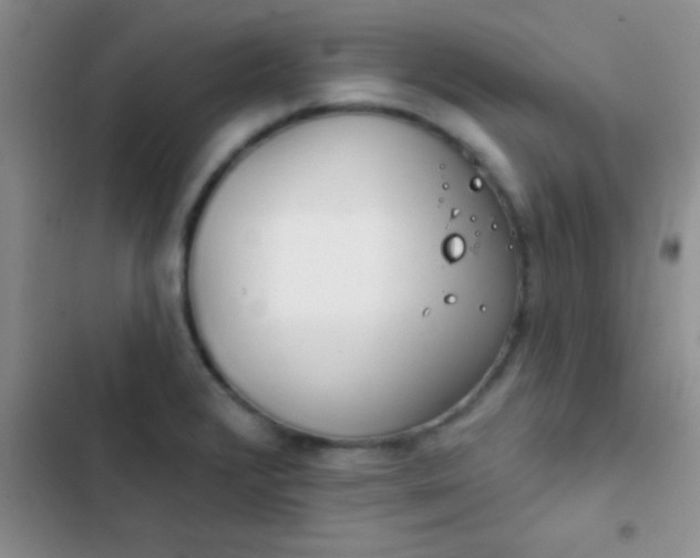 X0000102531376200808221855