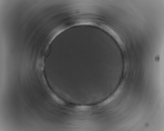 X0000102531377200808221855