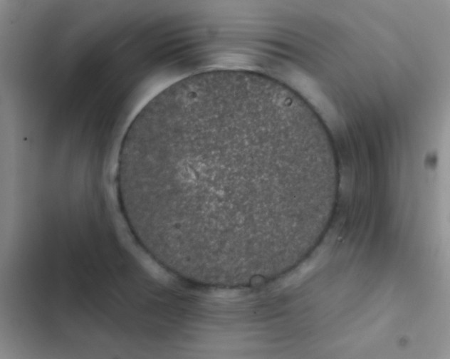 X0000102531378200808221855