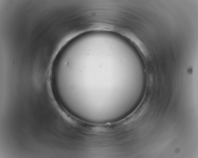 X0000102531379200808221855