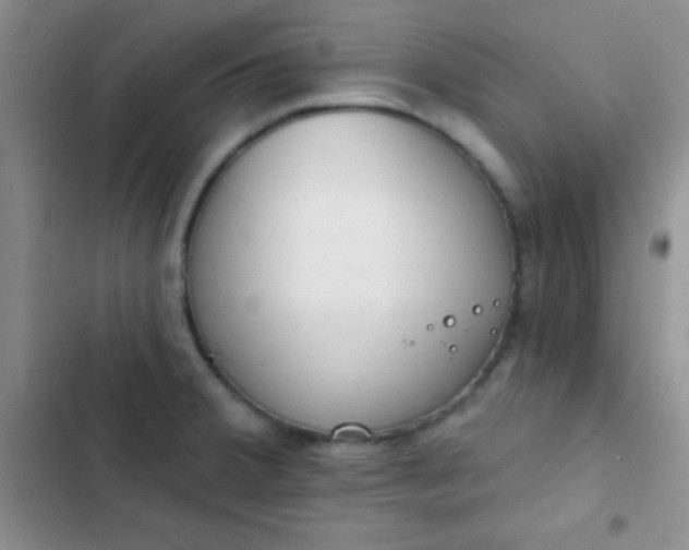 X0000102531380200808221855