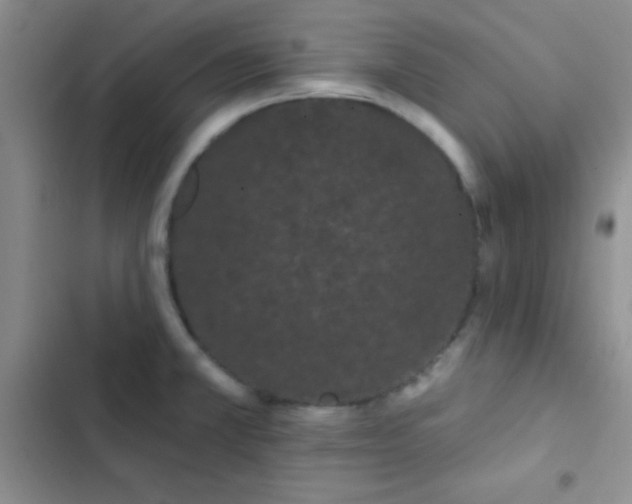 X0000102531381200808221855