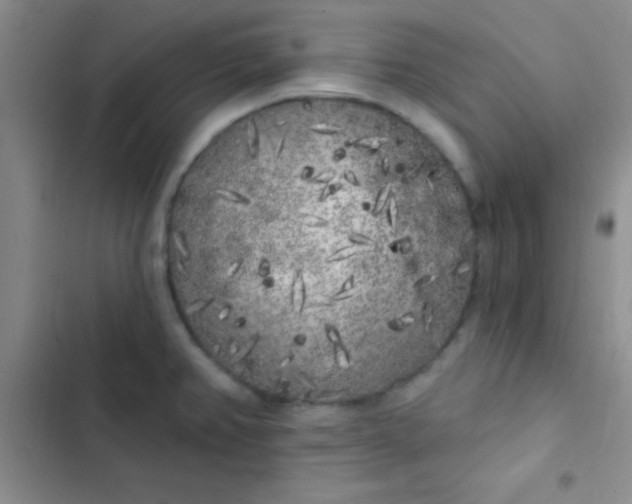 X0000102531382200808221855