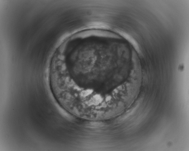 X0000102531383200808221855