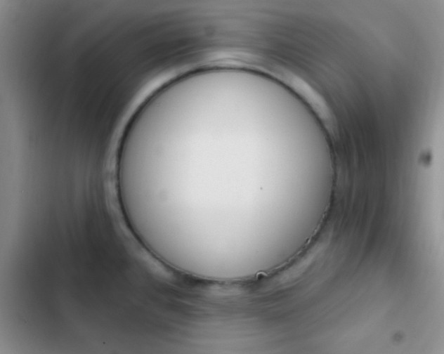 X0000102531384200808221855