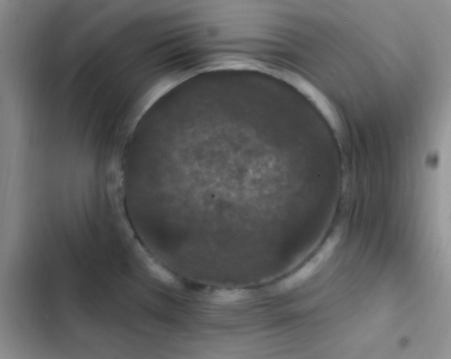 X0000102531385200808221855