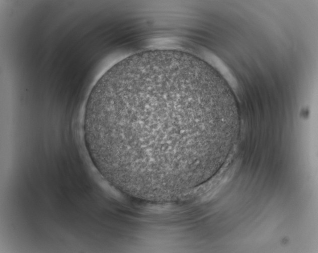 X0000102531386200808221855